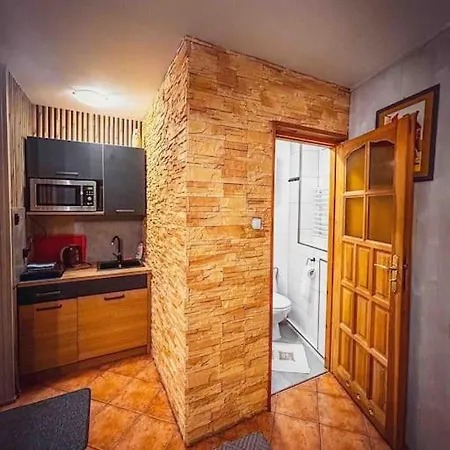 Mieszkanie W Centrum Zakopane