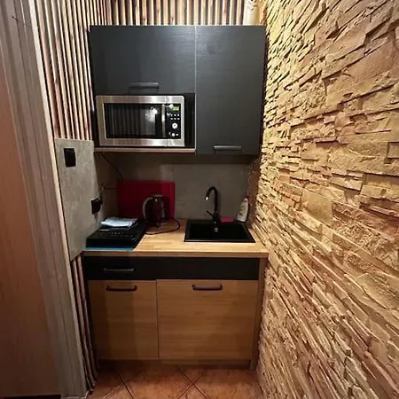 Mieszkanie W Centrum Appartamento Zakopane