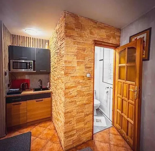 Mieszkanie W Centrum Zakopane