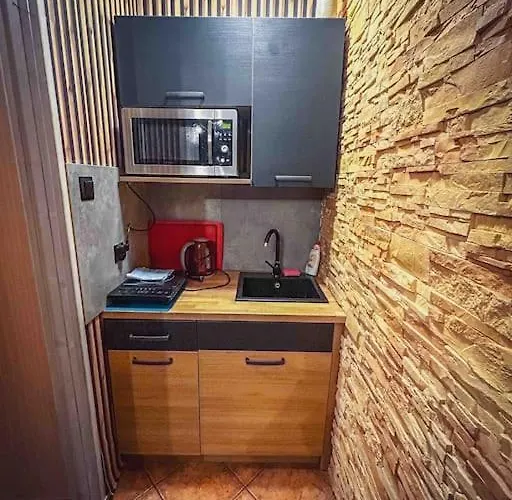 Mieszkanie W Centrum Zakopane