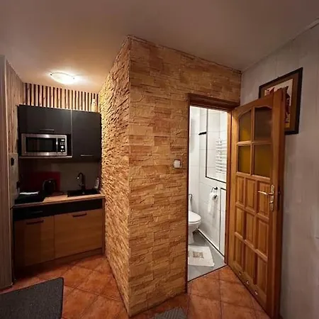 Apartment Mieszkanie W Centrum Zakopane