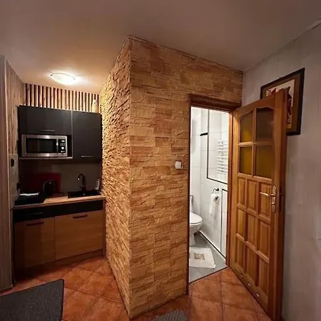 Apartment Mieszkanie W Centrum Zakopane